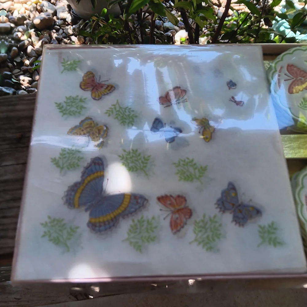 Vintage Napkins Coasters Freund Mayer Boxed Set 36 Butterflies Motif England